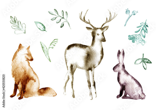 Deer,fox,rabbit tree and floral.Forest animals and branch.Watercolor hand drawn illustration.White background.