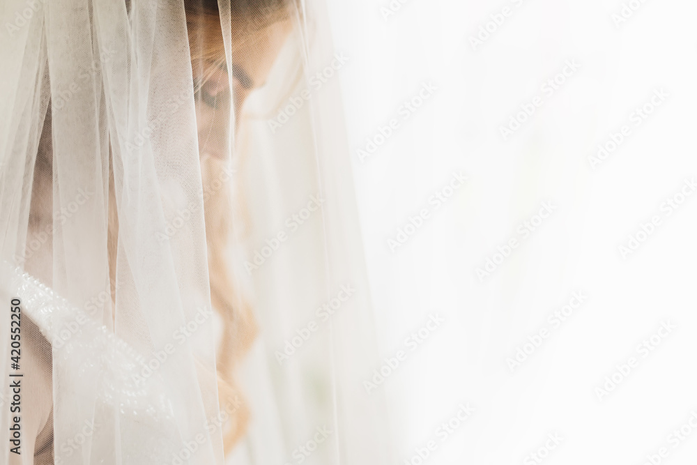 the bride closed her eyes and tulle in the foreground. profile. the bride closed her eyes and tulle in the foreground. profile.