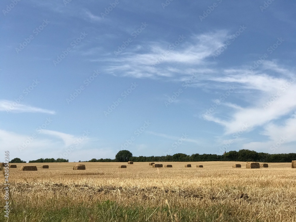 Scenic landscape of rural cropped field with stacked hay bales and blue sky Scenic landscape of rural cropped field with stacked hay bales and blue sky