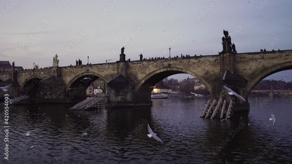 A flock of seagulls flies near the Charles Bridge. Seagulls fly over the river. Boat trip on the Vltava River in Prague. Panoramic view of the city from a boat on the river in the Czech Republic. A flock of seagulls flies near the Charles Bridge. Seagulls fly over the river. Boat trip on the Vltava River in Prague. Panoramic view of the city from a boat on the river in the Czech Republic.