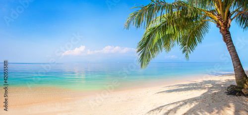 Fototapeta Naklejka Na Ścianę i Meble -  panoramic tropical beach with coconut palm
