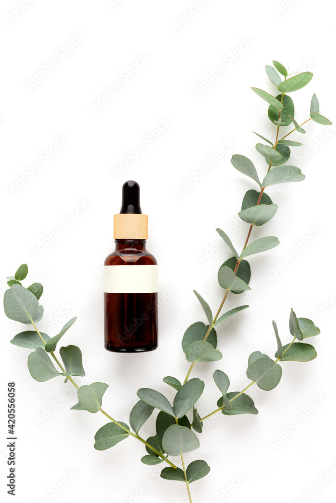 A bottle of essential oil with fresh eucalyptus leaves. A bottle of essential oil with fresh eucalyptus leaves.