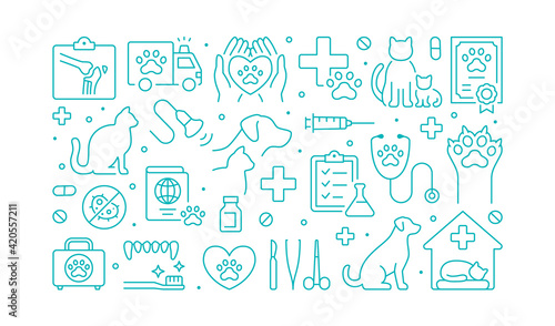 Veterinary clinic green color poster with line icons. Vector illustration included icon as cat, kitten, dog, passport, ultrasound, syringe, hospital, stethoscope outline pictogram for vet hospital