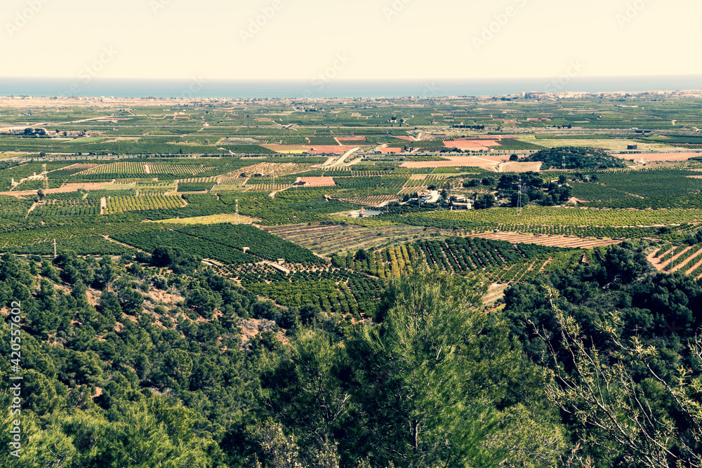 Obraz premium Campo de Murviedro