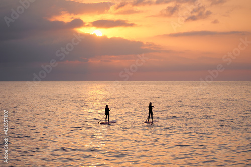 Wallpaper Mural Surfers in mediterranean sea Torontodigital.ca