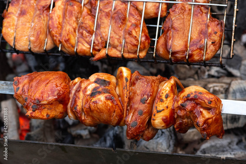 Shish kebab on the barbecue. Grilled chicken on the grill. Tasty barbecue on the coils.
