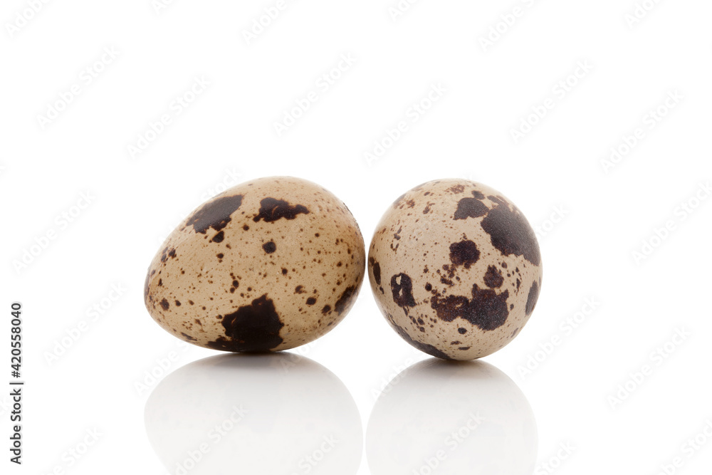 Two quail eggs isolated. Two quail eggs isolated.