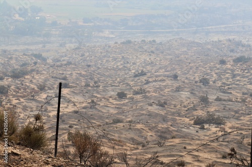 Burnt Remains