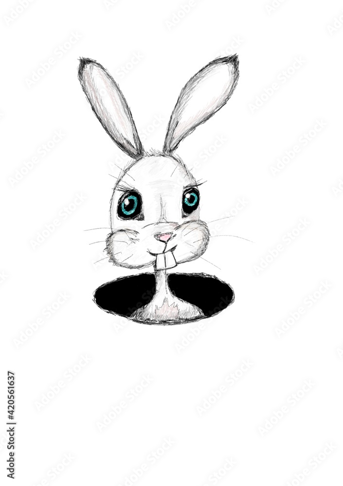 Obraz premium Hase