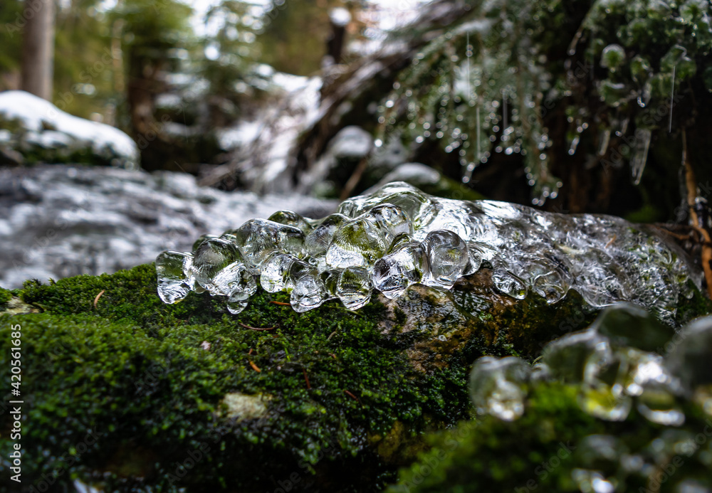 Fototapeta premium Frozen water close up. Ice waterfall. Transparent ice. Frozen grass, moss and granite stones. Textural ice formations.