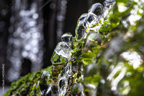 Frozen water close up. Ice waterfall. Transparent ice. Frozen grass, moss and granite stones. Textural ice formations.