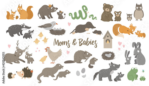 Vector big set of hand drawn flat baby animals with parents. Funny woodland animal scene showing family love. Cute forest animalistic illustration for Mothers Day design.