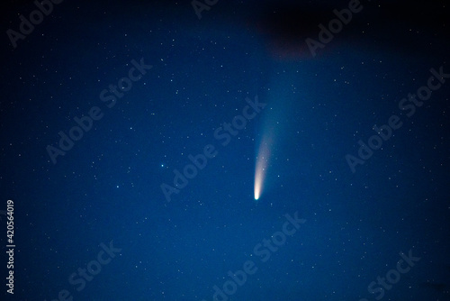 comet neowise in dark night sky