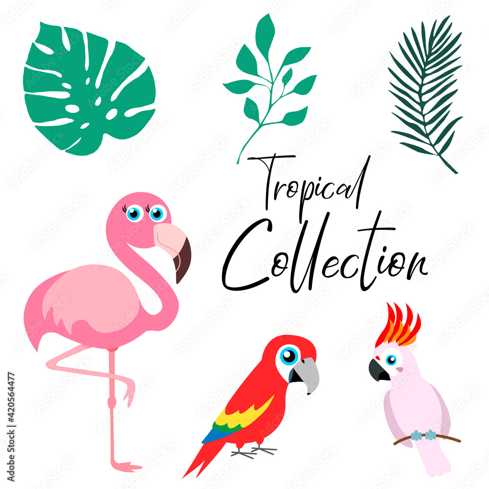 Fototapeta premium Tropical set collection, funny birds, palm leafs vector illustration