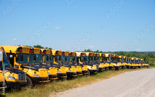 School Buses in Row