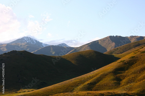 Mountain landscape on a sunny summer day. Snowy peaks, a mountain gorge with green grass and trees. Kyrgyzstan, © Elena