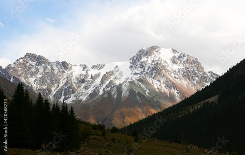 Mountain landscape on a sunny. Snowy peaks, a mountain gorge with green grass and trees. Kyrgyzstan, Tien Shan. Kyrgyz Alatoo mountains, Tian-Shan, Ala-archa, Kyrgyzstan. Mountain panorama. 