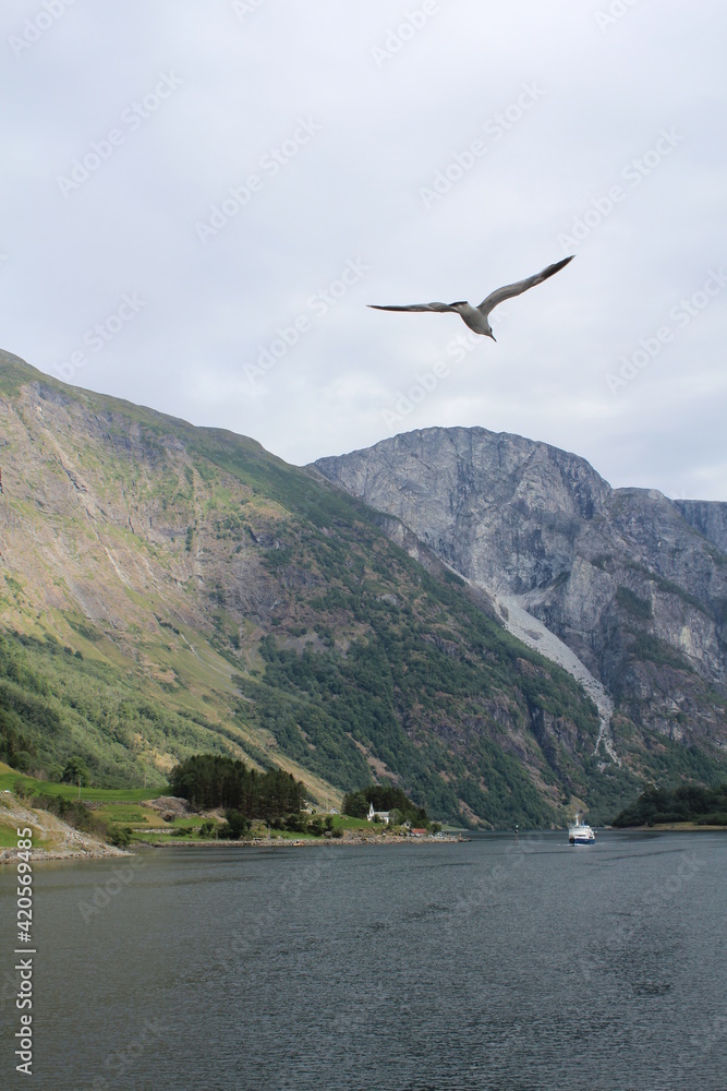 Fototapeta premium norway