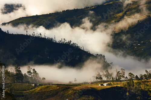 landscape with a dense mist photo