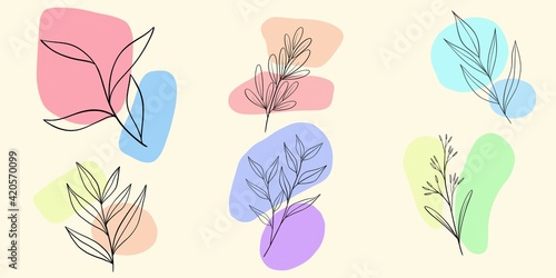 Floral set background colorful illustration 