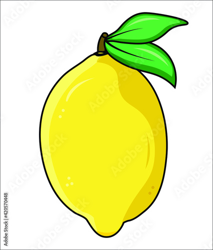 Fresh lemon fruit with leaf. Lemon vector illustration. Lemon logo or icon. Isolated on white background.