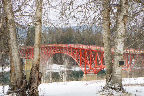 Seeing the bridge between trees.