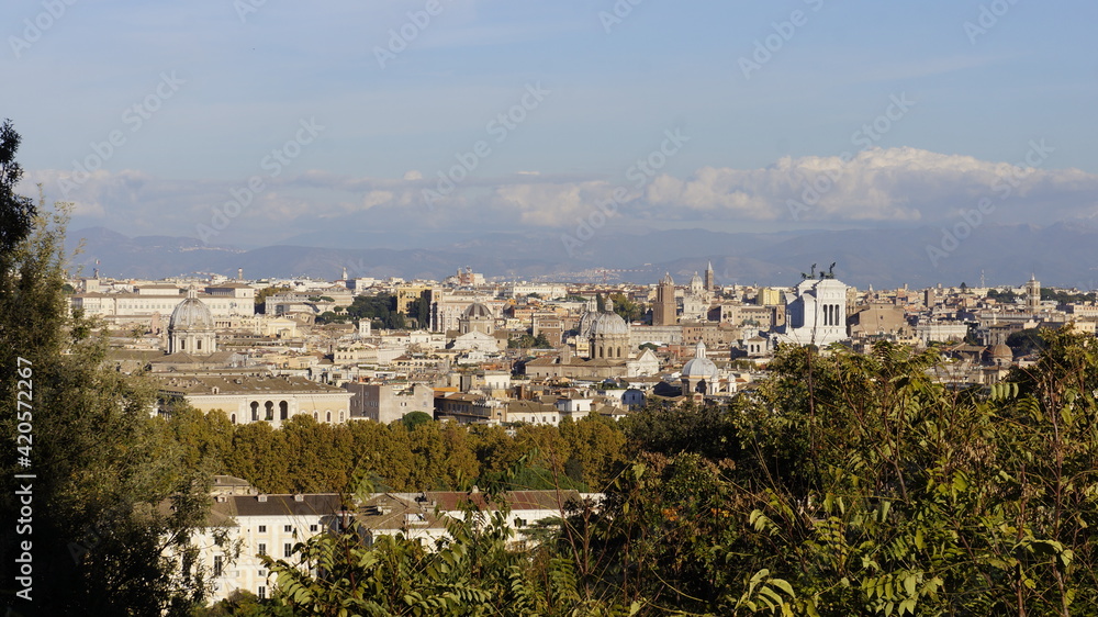 panoramic view of Rome from above 