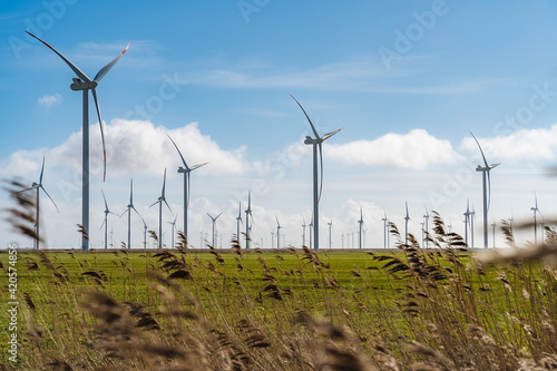 Looking through reed on uge wind farm with blue, cloudy sky in background photo
