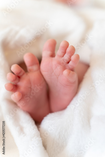 tiny, cute, bare feet of a little caucasian newborn baby girl or boy peeking out of a white soft and cosy blanket, with pink skin, playful wriggling its toes and stretching after a nap. human feet 