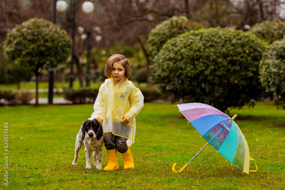 a beautiful girl in a yellow raincoat with a hood,and yellow boots, walks in the park with her favorite dog of the Russian Spaniel breed, with an umbrella a beautiful girl in a yellow raincoat with a hood,and yellow boots, walks in the park with her favorite dog of the Russian Spaniel breed, with an umbrella