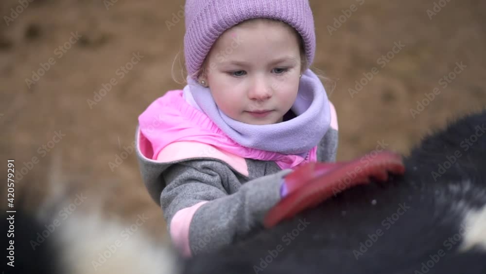 Horse care. Little cute girl and pony. Friendship of animal and child on the farm and ranch. High quality FullHD footage Horse care. Little cute girl and pony. Friendship of animal and child on the farm and ranch. High quality FullHD footage