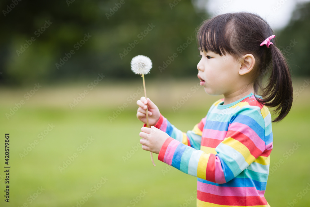 young girl blowing dandelion in the summer garden morning young girl blowing dandelion in the summer garden morning