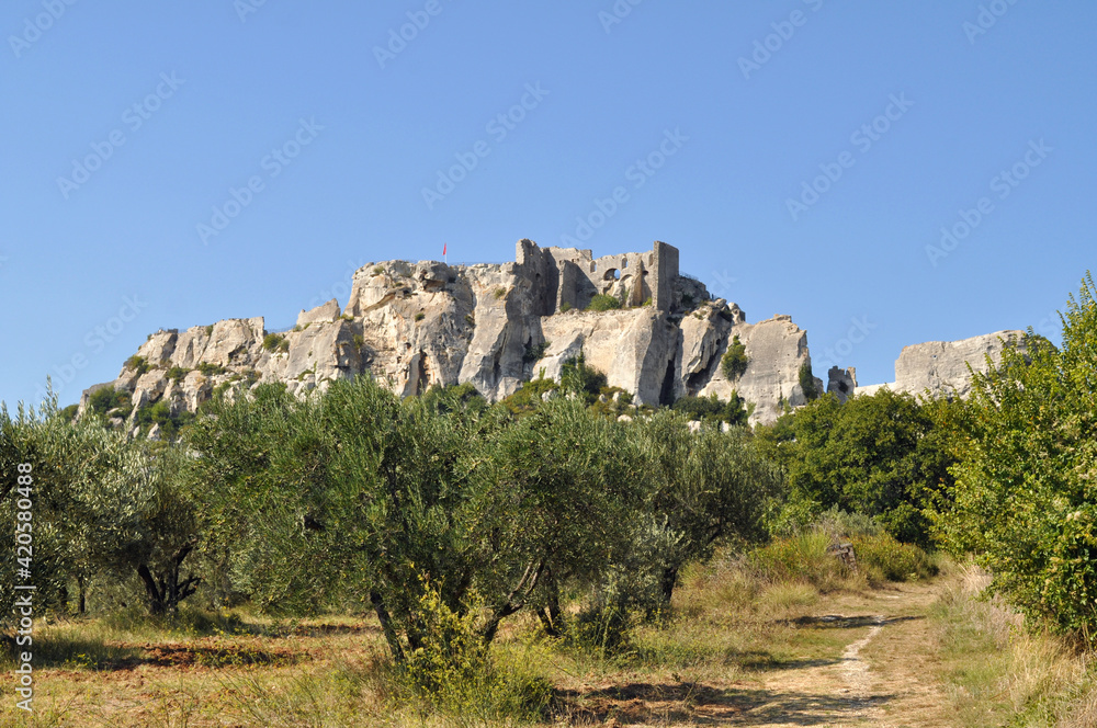 View of an old stone castle on top of a rock above a vineyard - Les-Baux-de-Provence, France