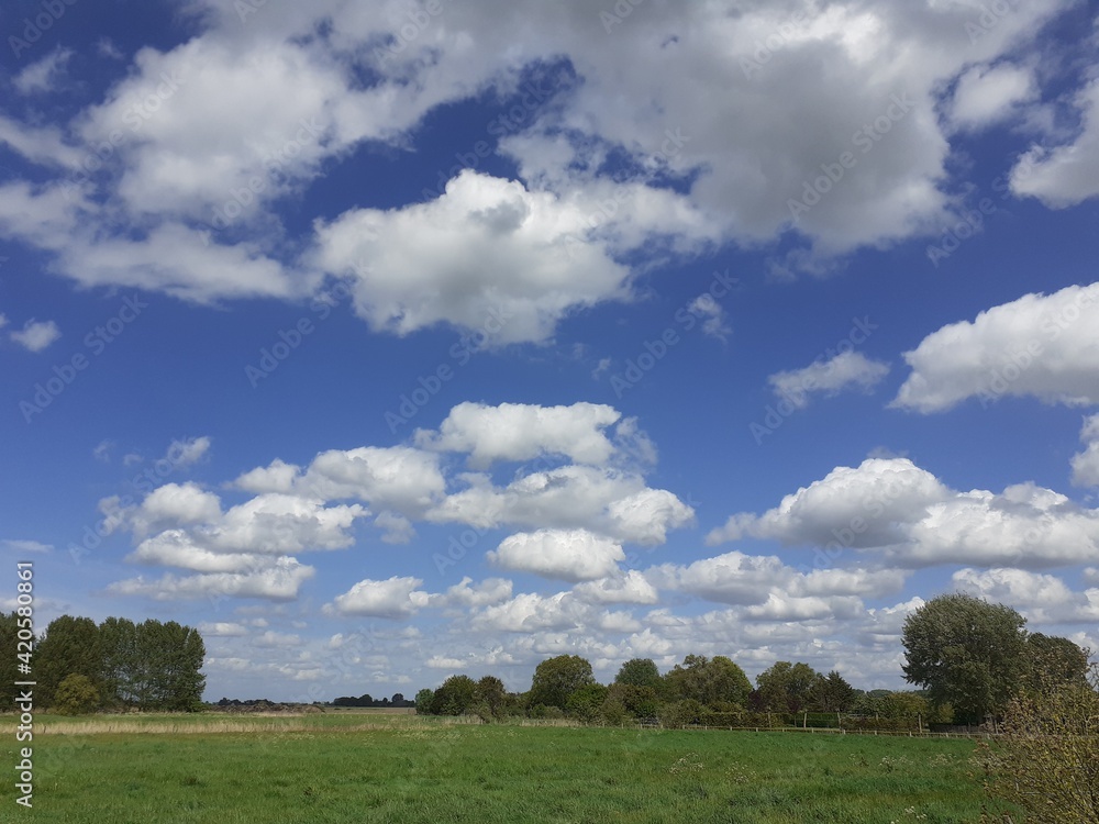a typical dutch landscape with a deep blue sky with white clouds above a green meadow in springtime a typical dutch landscape with a deep blue sky with white clouds above a green meadow in springtime