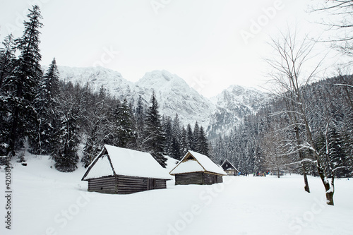 Winter landscape. Houses on a mountain background. © Sotnikow
