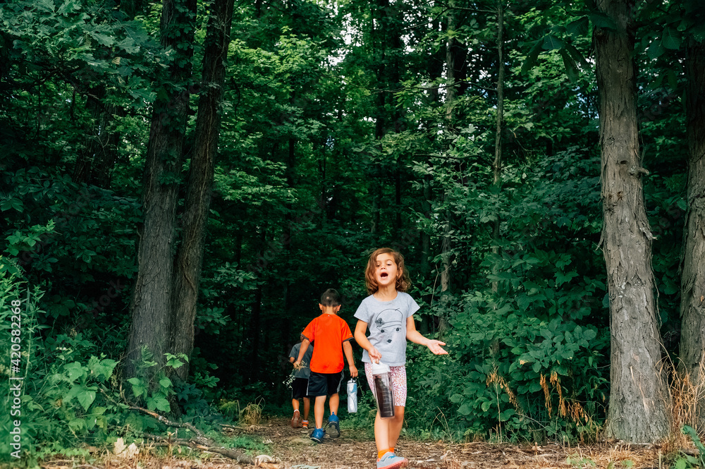 Children hiking in the woods. Children hiking in the woods.