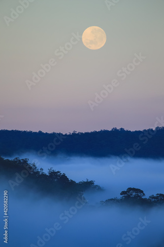 Yengo Moonset photo