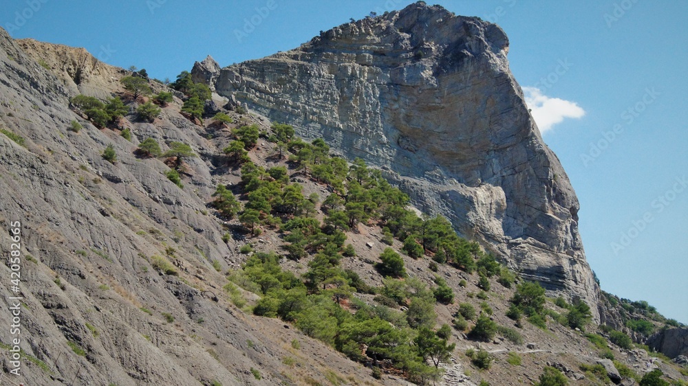 landscape in the mountains