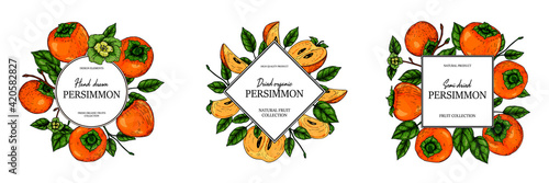 Set of hand drawn colorful persimmon design. Vector illustration in colored sketch style.