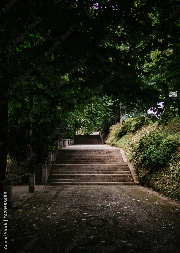 Staircase in nature Staircase in nature