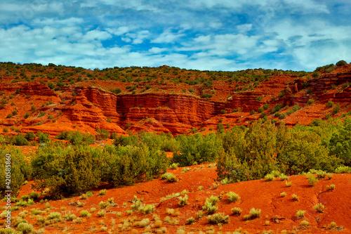 USA, New Mexico. Jemez Mountains landscape. photo