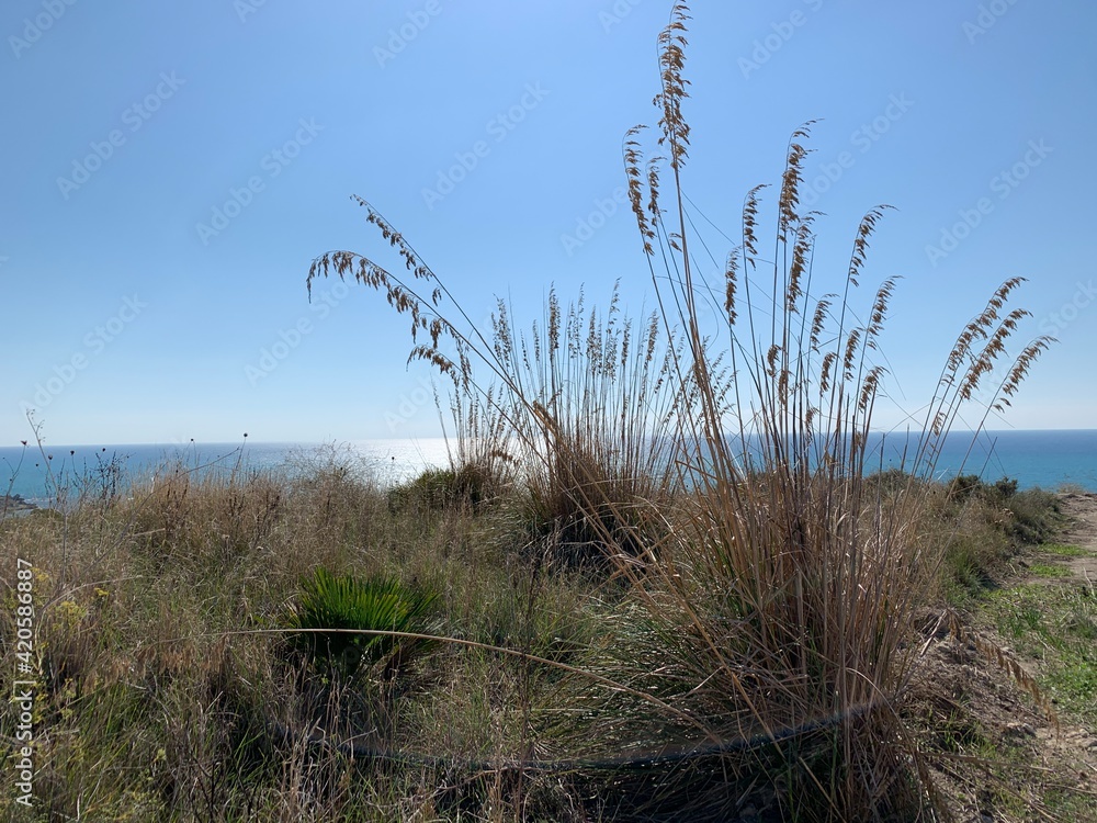 Obraz premium seashore