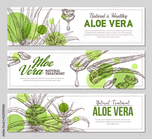 Aloe vera vertical banners with sketch botanical illustrations of medicine plants. Vector template design