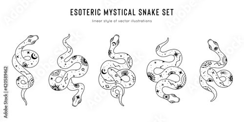 Vector snake set of mystical magic objects- moon, eyes, constellations, sun and stars. Spiritual occultism symbols, esoteric objects.