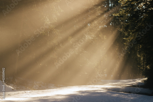 Brilliant Rays of Sun