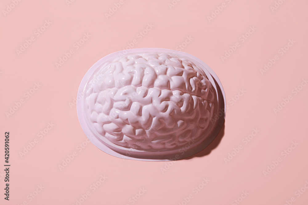 Brain function Brain function