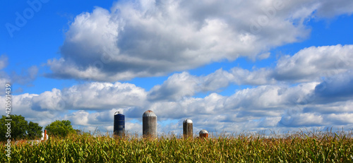 Farm Silos Old and New in Tennessee photo