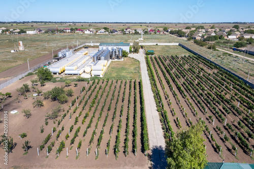 Small winery in the countryside, near Odessa, Ukraine photo