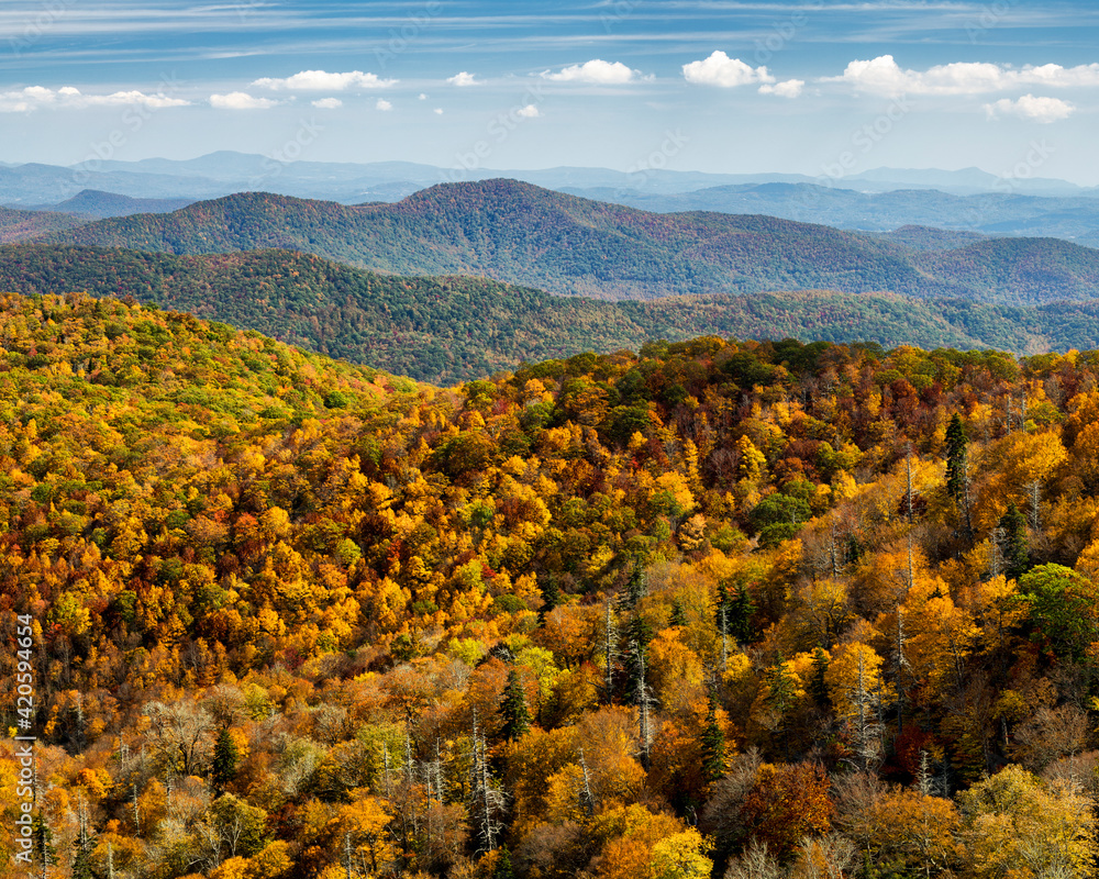 USA, North Carolina, Pisgah National Forest, View from the Blue Ridge Parkway's East Fork Overlook