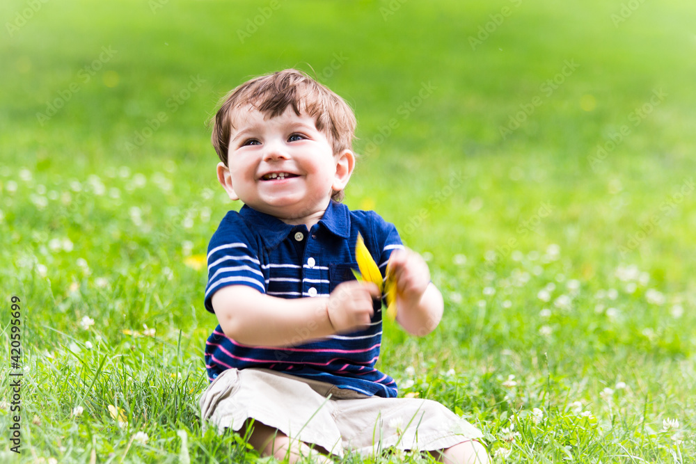 little boy playing with a leaf in the grass little boy playing with a leaf in the grass